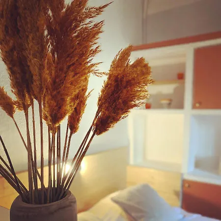 Отель Studio St Raph