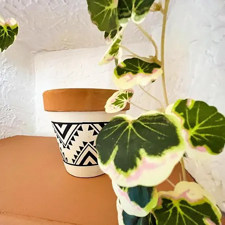 Studio St Raph Hotel *