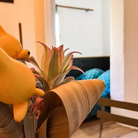 Studio St Raph Saint-Raphael (Var)